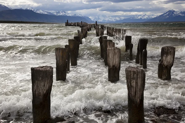 Puerto Natales, Patagonie chilienne . — Photo