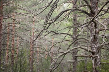 Los bağlantı noktaları de Beseit
