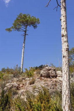 Beceite dağlarında