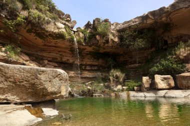 El tuz. Teruel ilinde