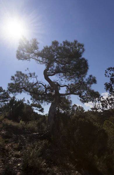 Montanhas de Beceite — Fotografia de Stock