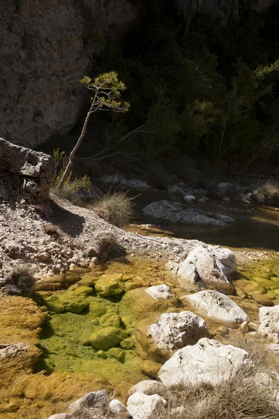 Ulldem river. Teruel province — Stock Photo, Image