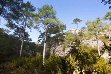 Los Ports Doğal Parkı manzarası. Teruel bölgesi