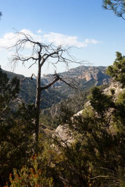 Los Ports Doğal Parkı manzarası. Teruel bölgesi