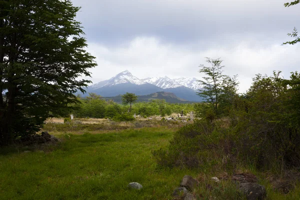 Vue Sur Patagonie Chilienne Patagonie Province — Photo