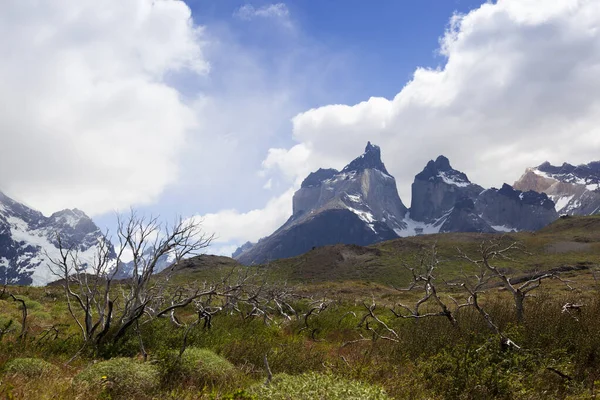 Los Cuernos Park Narodowy Las Torres Chile — Zdjęcie stockowe