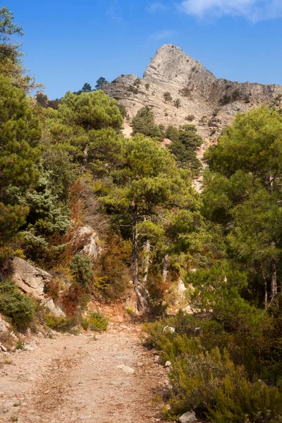 Parque Natural Los Ports Tarragona Provincia España —  Fotos de Stock