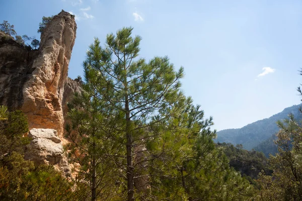 Desfiladero Del Río Ulldemo Provincia Teruel España —  Fotos de Stock