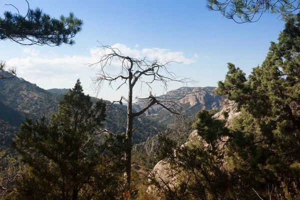 Utsikt Över Los Ports Naturpark Teruel Provinsen — Stockfoto