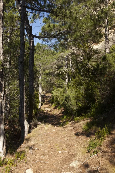 Vistas Parque Natural Los Ports Província Teruel — Fotografia de Stock