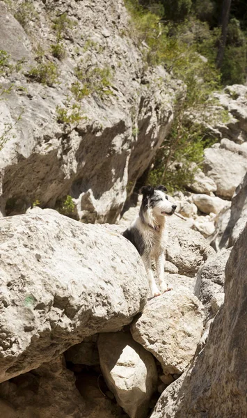 Desfiladero Del Río Ulldemo Provincia Teruel España — Foto de Stock