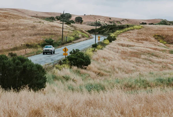 California Usa June 2017 Nature Western California Usa — Stock Photo, Image