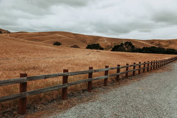 Nature in the western. California; USA