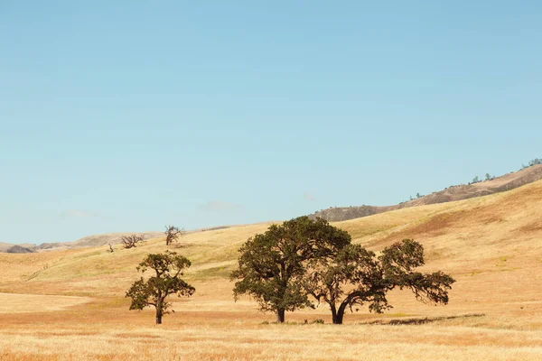 Natuur Het Westen Californië Verenigde Staten — Stockfoto