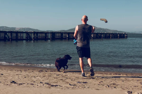 San Francisco Junio 2017 Correr Jugar Bahía San Francisco Con —  Fotos de Stock