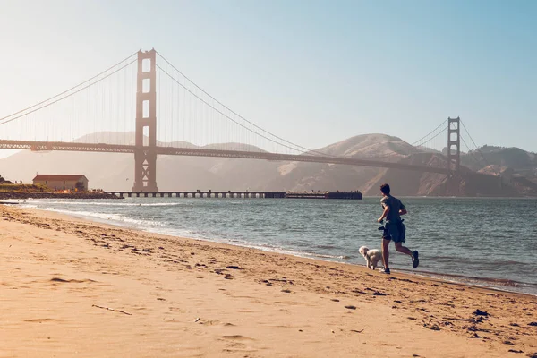 San Francisco Usa June 2017 Running Playing San Francisco Bay — Stock Photo, Image