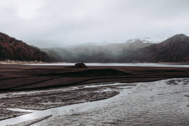 Conguillio Park 'ta kış. Şili