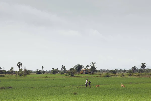 Don Khon Laos Lipca 2009 Phan Don Znany Również Jako — Zdjęcie stockowe