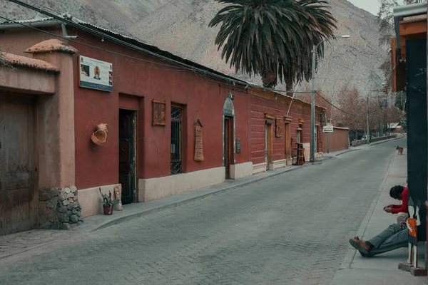 Pisco Elqui, Şili - 14 Ağustos 2014: Pisco Elqui Vadisi 'nde küçük bir mağaza. Şili
