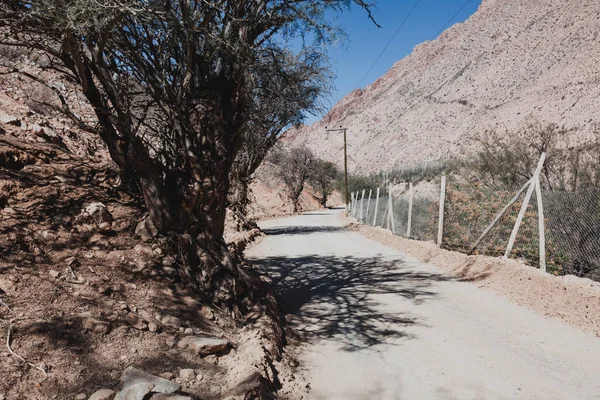 Valle Elqui Nord Del Cile — Foto Stock