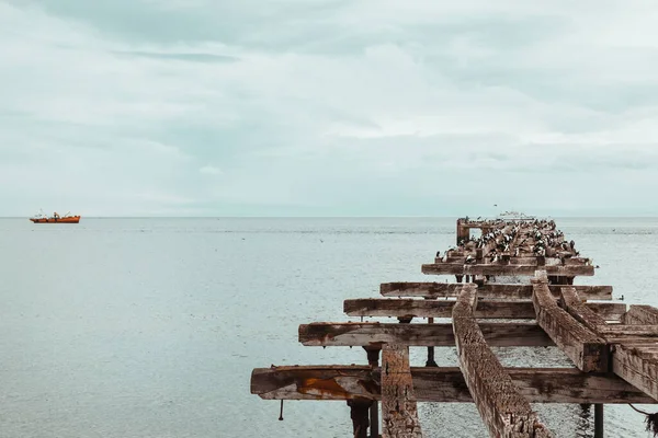 Remains Old Pier Now Resting Place Seabirds Sand Point Chilean — Stock Photo, Image