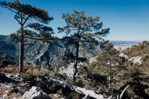 Caminho Para Galera Peak Província Teruel Espanha — Fotografia de Stock