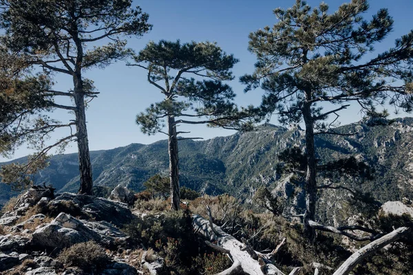 Caminho Para Galera Peak Província Teruel Espanha — Fotografia de Stock