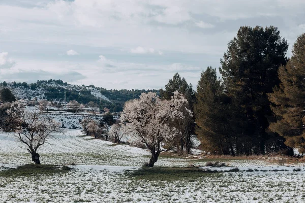 Зима Полях Вокруг Валдерробрес Теруэль — стоковое фото