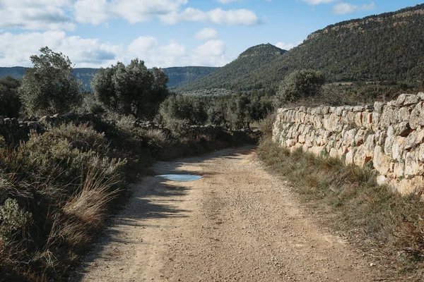 Arte Construir Muros Piedra Seca Tradicional Las Zonas Rurales Croacia —  Fotos de Stock