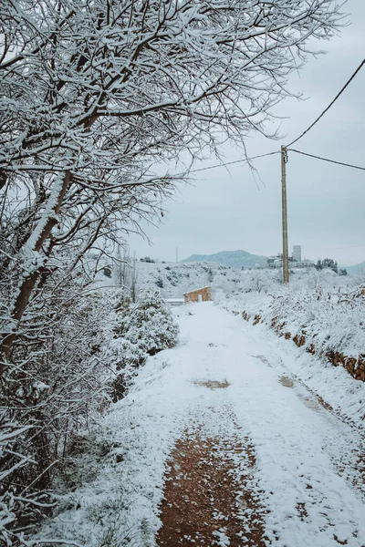 Tormenta Filomena Afecta Varios Lugares España Especialmente Provincia Teruel Donde — Foto de Stock