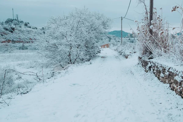 Tormenta Filomena Afecta Varios Lugares España Especialmente Provincia Teruel Donde — Foto de Stock