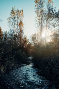 Teruel 'deki Matarranya nehrinin manzarası. İspanya
