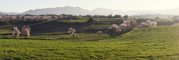 Fields in Matarranya. A region of the province of Teruel, Spain