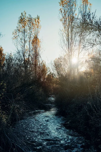 Teruel 'deki Matarranya nehrinin manzarası. İspanya
