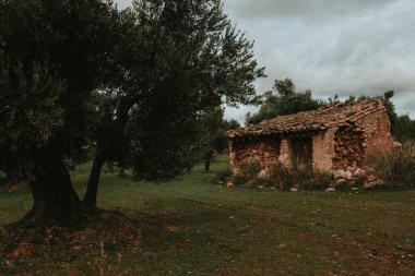 Matarranya Tarlaları. Teruel bölgesi