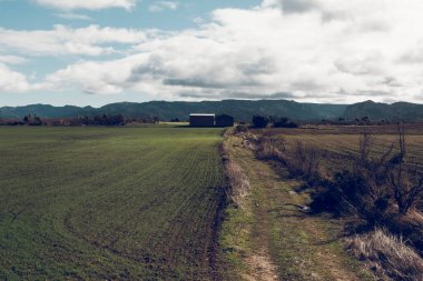 Matarranya 'daki tarlalar. İspanya 'nın Teruel iline bağlı bir bölge.