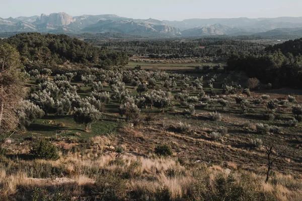 Campos Matarranya Uma Região Província Teruel Espanha — Fotografia de Stock