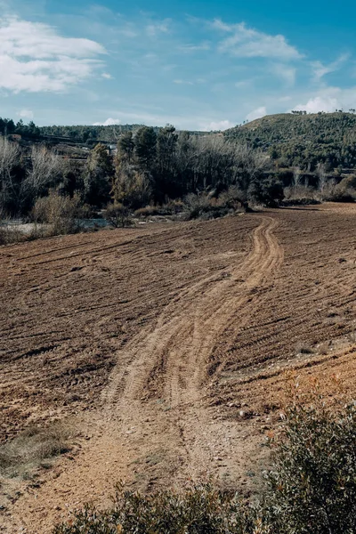 Velden Matarranya Een Regio Van Provincie Teruel Spanje — Stockfoto