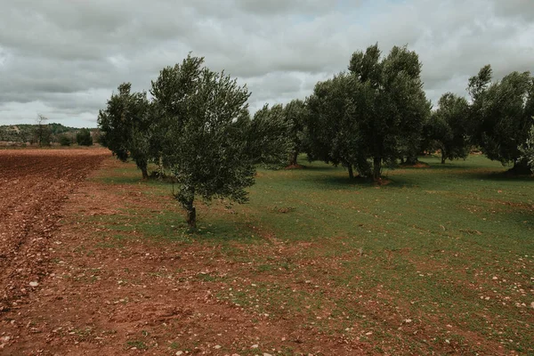 Matarranyas Fält Teruel Provinsen — Stockfoto