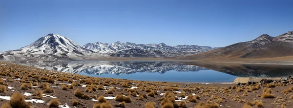 Laguna Miscanti — Zdjęcie stockowe