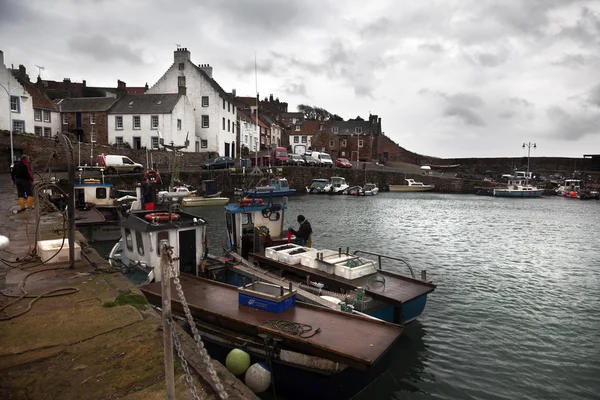 Fischerboote in Schottland Stockbild