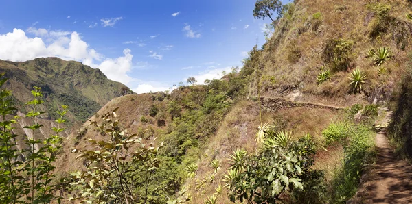 Camino de Inca — Foto de Stock