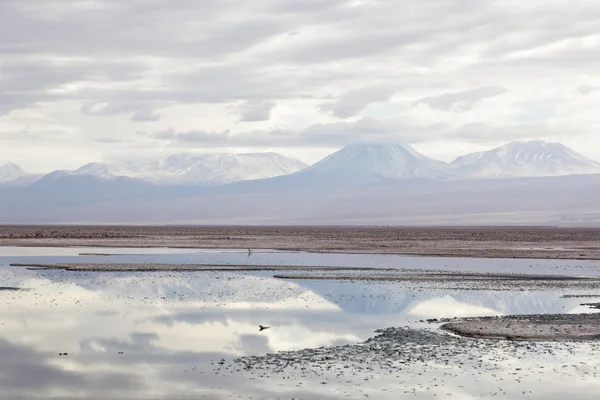 Salar atacama, nördlich von chile — Stockfoto