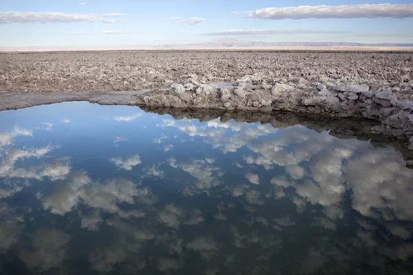 Salar de Atacama üzerine düşünceler — Stok fotoğraf