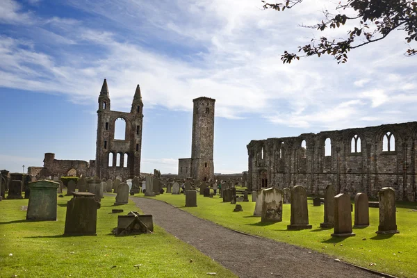 Ruin of St Andrews Cathedral in St Andrews Scotland — Stock Photo, Image