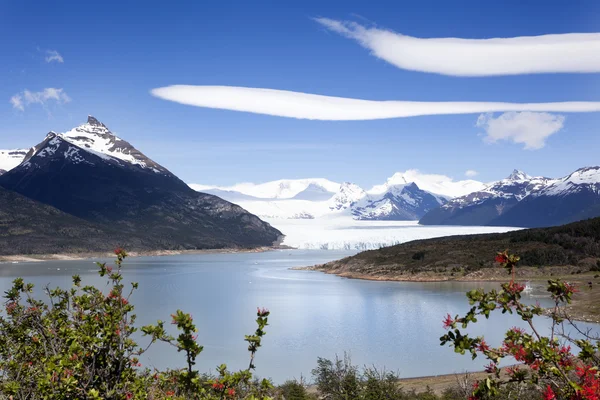Perito Moreno. Argentine — Photo