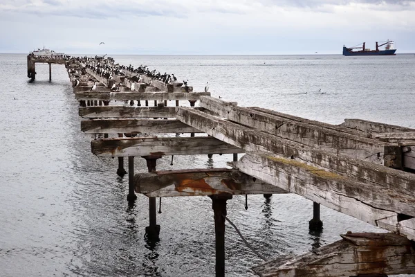 老码头。智利南部的 — 图库照片