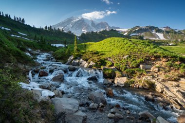 Edith Creek, Rainier Dağı Ulusal Parkı 'nın Cennet Bölgesi' ndeki Myrtle Falls şelalesine gidiyor.