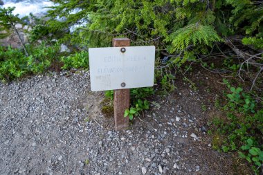 Washington 'daki Mount Rainier Ulusal Parkı' nda Edith Creek tabelası