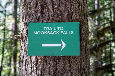 Nooksack Falls Dağı 'ndaki şelale yolu için imza atın. Baker-Snoqualmie Ulusal Ormanı